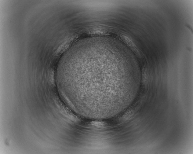 X0000103140457200809051618