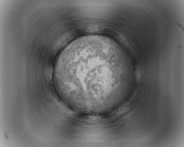 X0000103140458200809051618