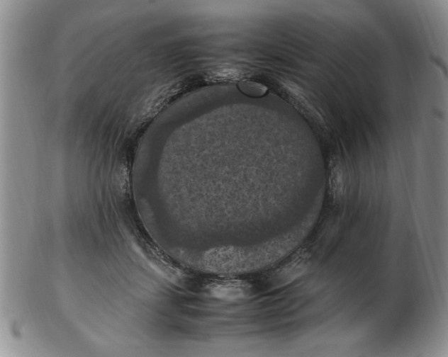 X0000103140459200809051618