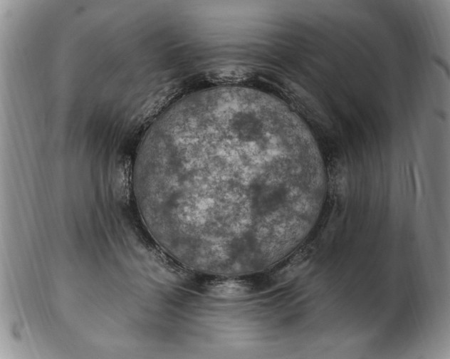 X0000103140460200809051618