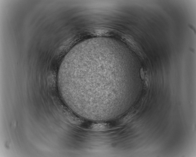 X0000103140461200809051618