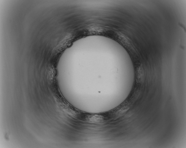 X0000103140463200809051618