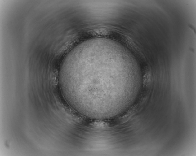 X0000103140464200809051618