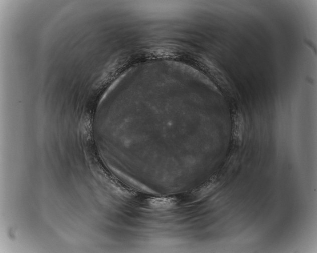 X0000103140465200809051618