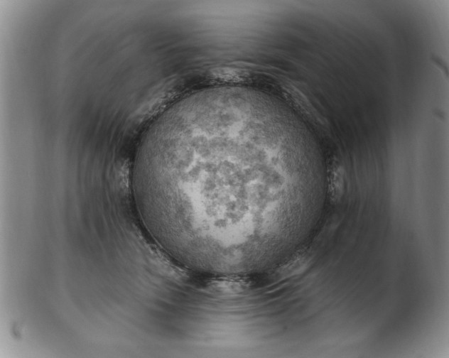 X0000103140466200809051618