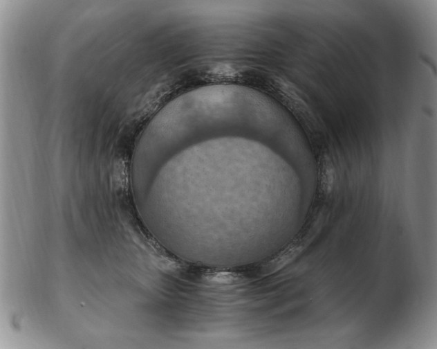 X0000103140467200809051619