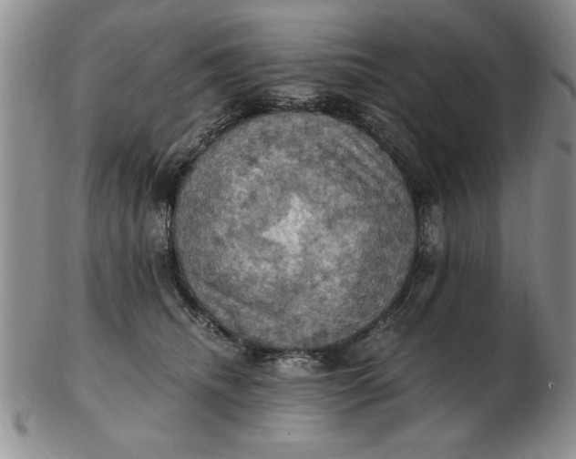 X0000103140468200809051619