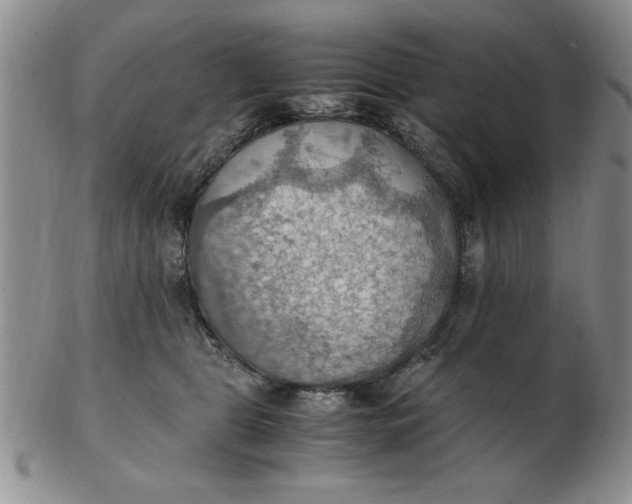 X0000103140469200809051619