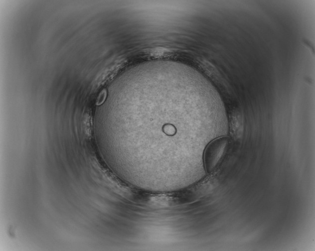 X0000103140470200809051619