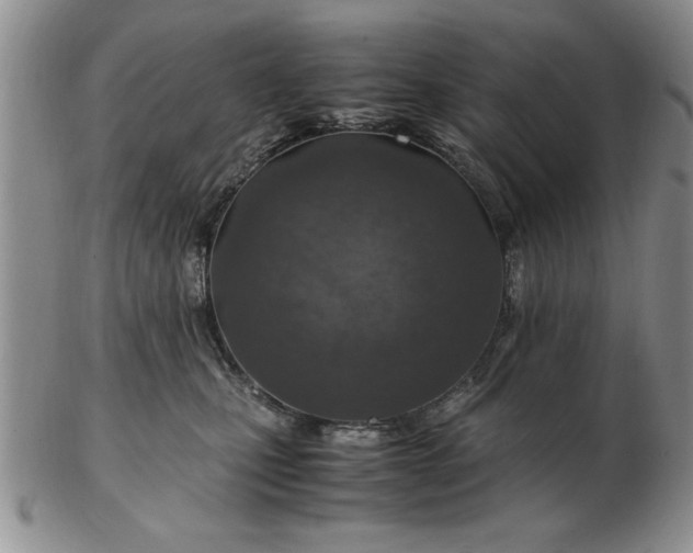 X0000103140471200809051619