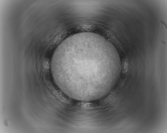 X0000103140472200809051619