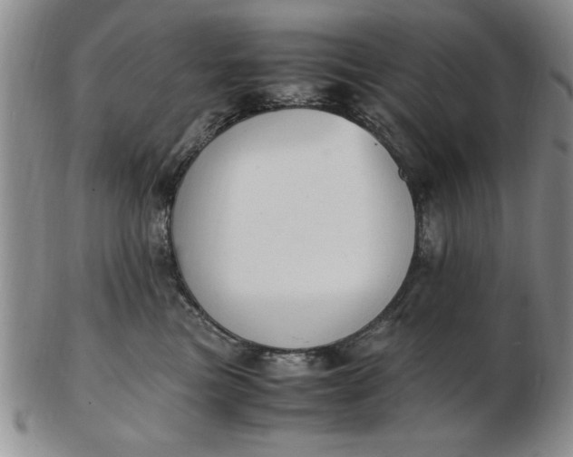 X0000103140473200809051619