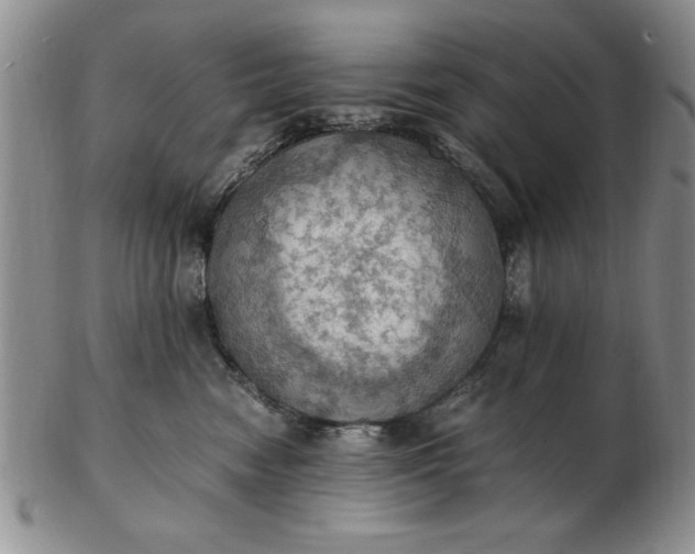 X0000103140474200809051619