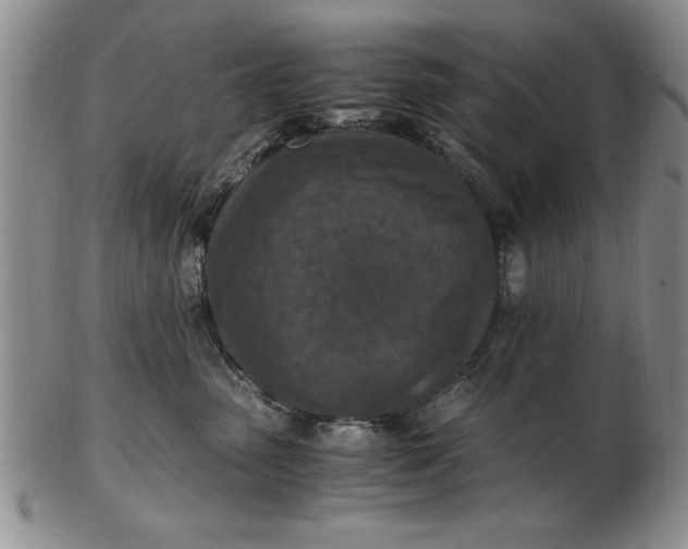 X0000103140475200809051619