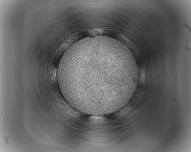 X0000103140477200809051619