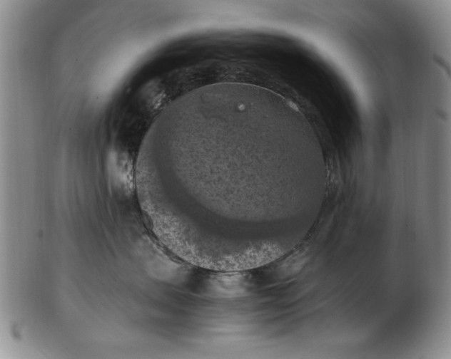 X0000103140479200809051619