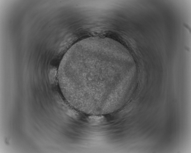 X0000103140480200809051619