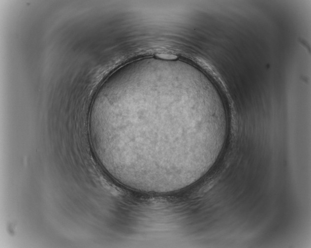 X0000103140481200809051618