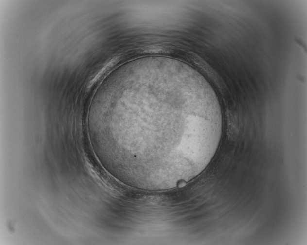 X0000103140482200809051618