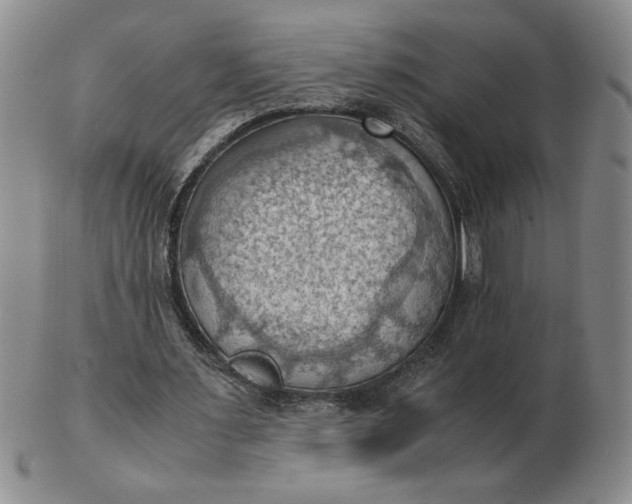 X0000103140483200809051618