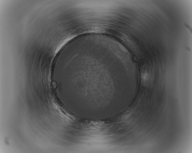 X0000103140484200809051618