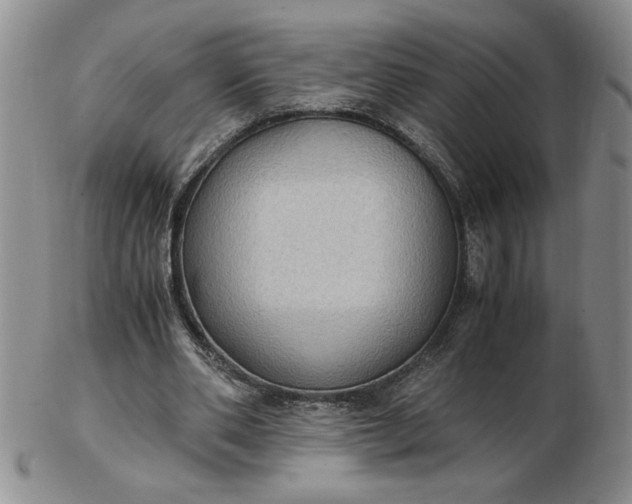 X0000103140486200809051618