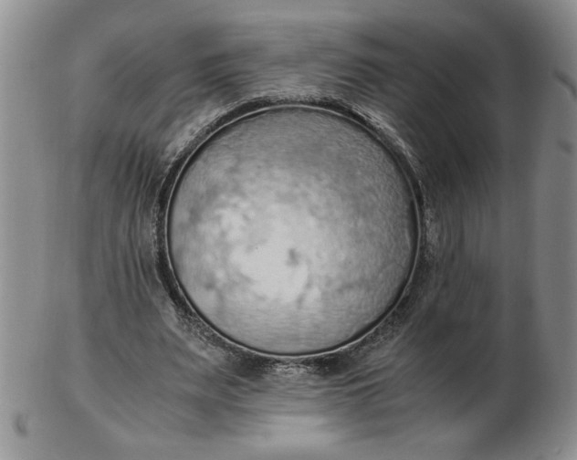 X0000103140487200809051618