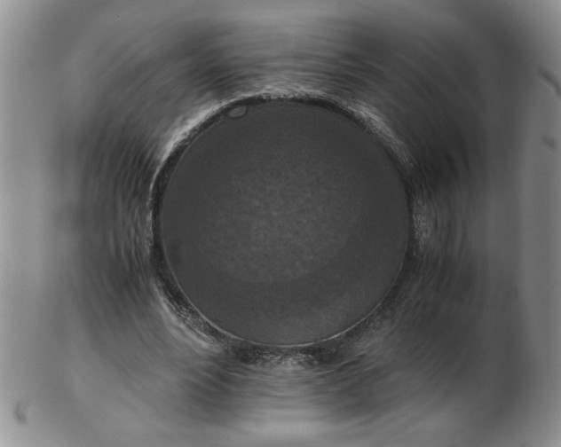 X0000103140488200809051618