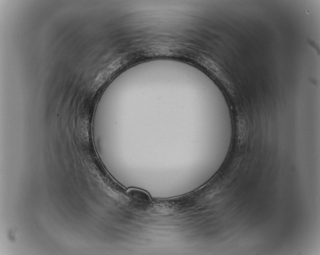 X0000103140489200809051618