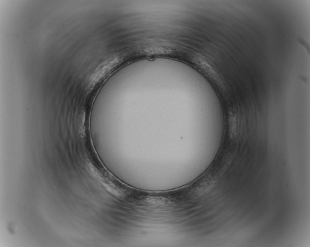 X0000103140490200809051618