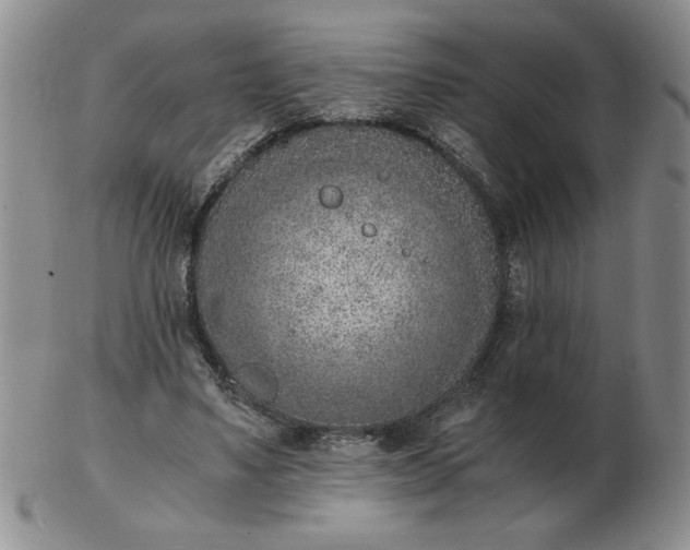 X0000103140491200809051618