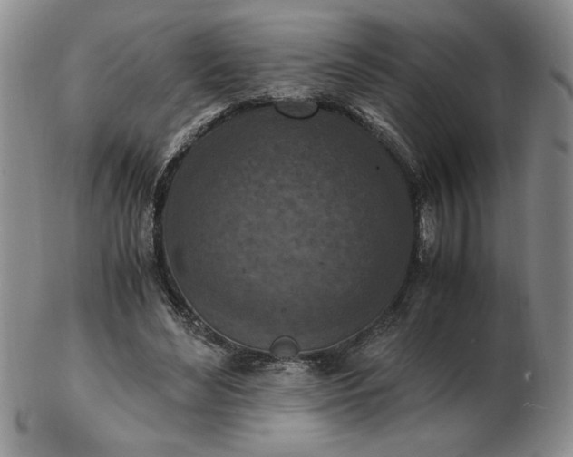 X0000103140492200809051618