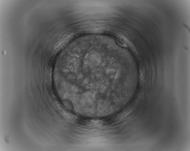 X0000103140493200809051618