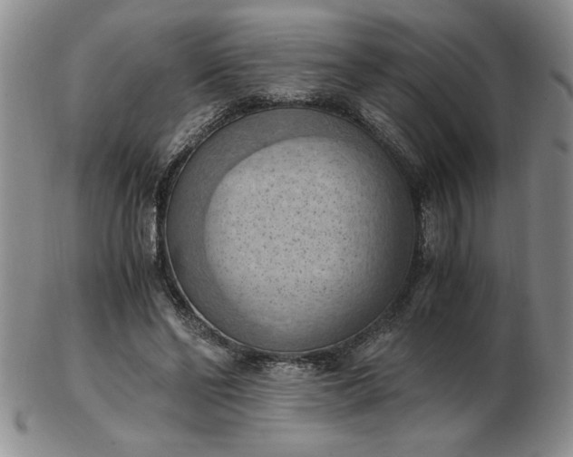 X0000103140494200809051618