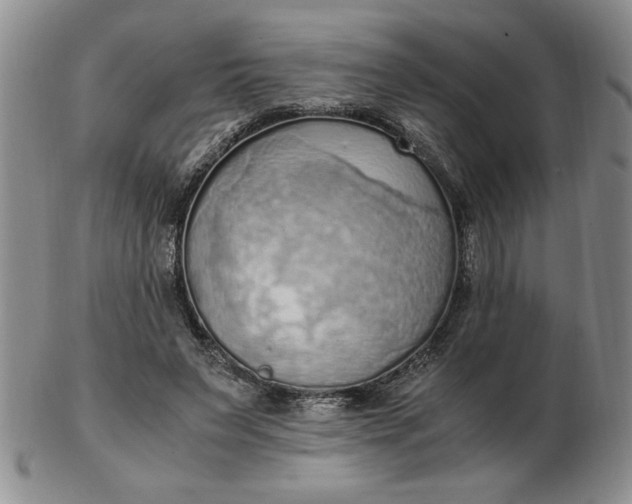 X0000103140495200809051618