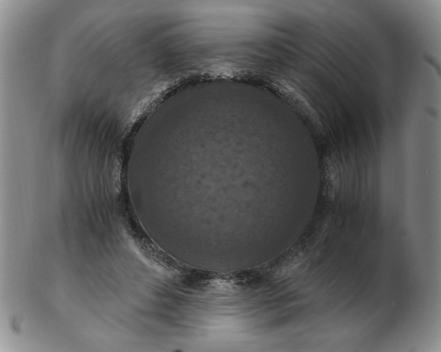 X0000103140496200809051618