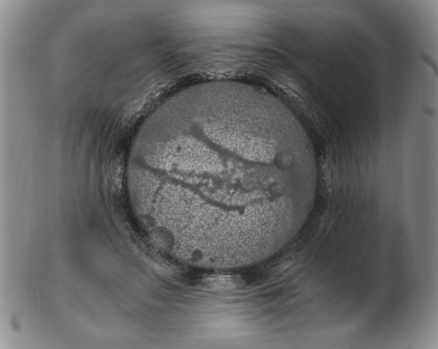 X0000103140499200809051618