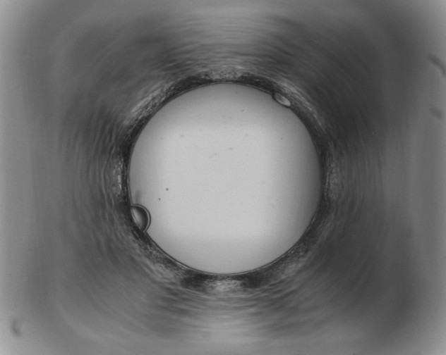 X0000103140501200809051618