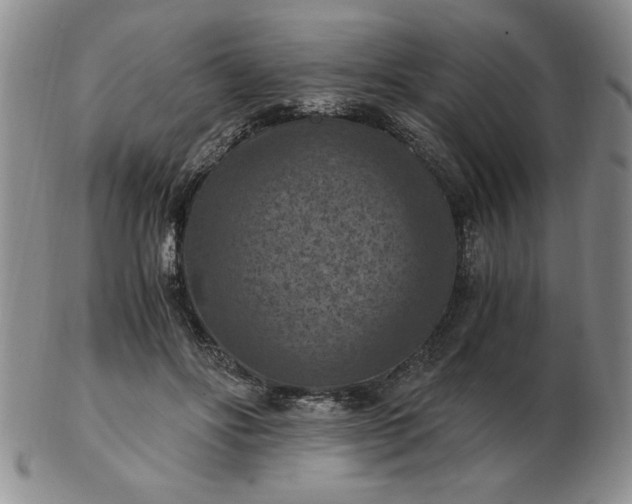 X0000103140502200809051618