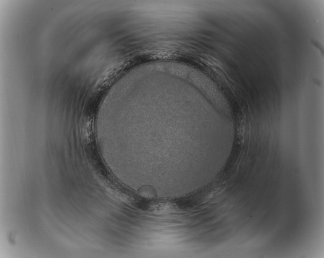 X0000103140503200809051618