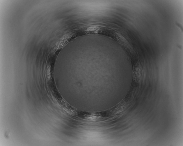 X0000103140504200809051618