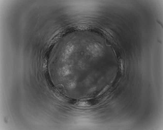 X0000103140507200809051618