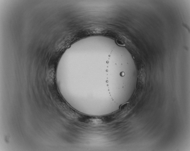 X0000103140509200809051618