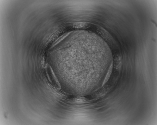 X0000103140510200809051618