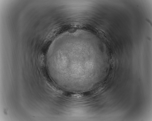 X0000103140511200809051618