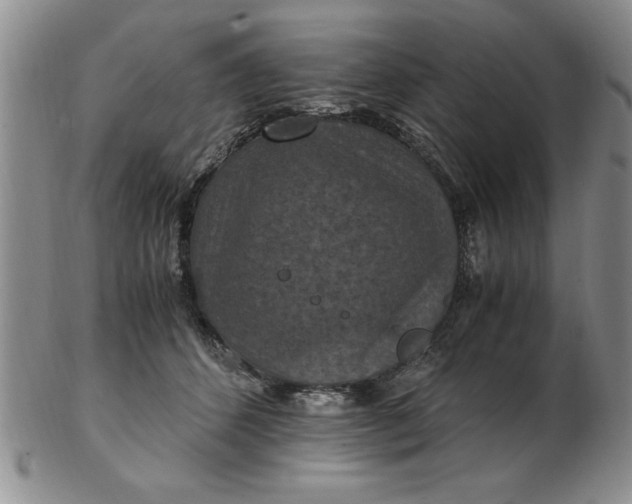 X0000103140512200809051618