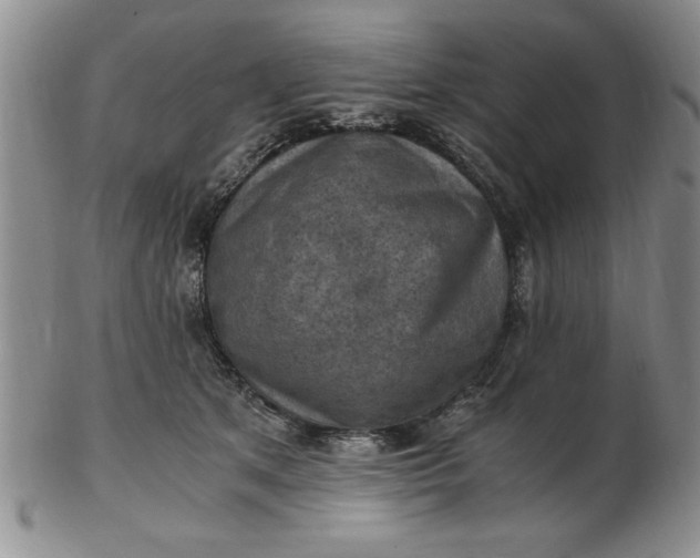 X0000103140513200809051618