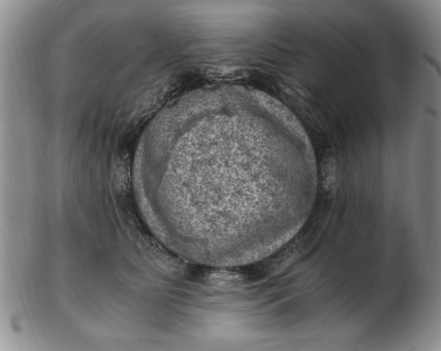 X0000103140515200809051617