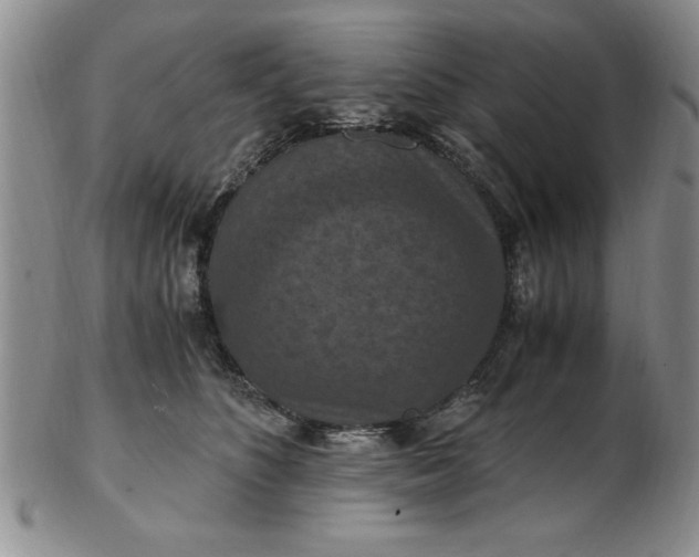 X0000103140516200809051617