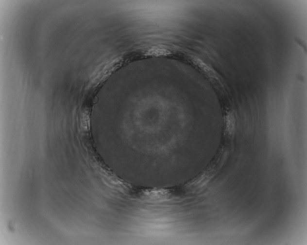 X0000103140517200809051617